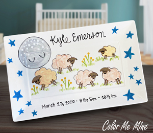Houston Heights Color Me Mine Baby Announcement