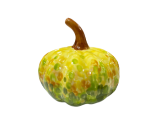 Houston Heights Color Me Mine Fall Textured Gourd