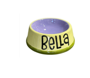 Houston Heights Color Me Mine Pet Dish