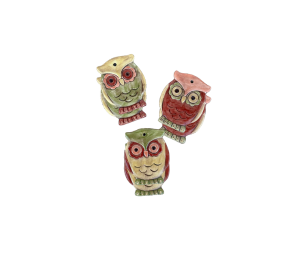 Houston Heights Color Me Mine Owl Ornaments
